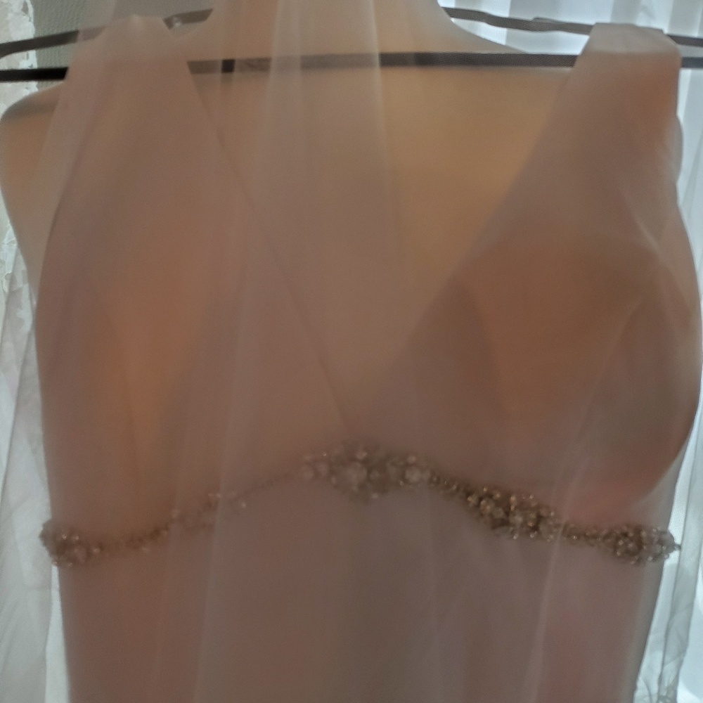 JJ's House Elegant Wedding or prom dress with veil